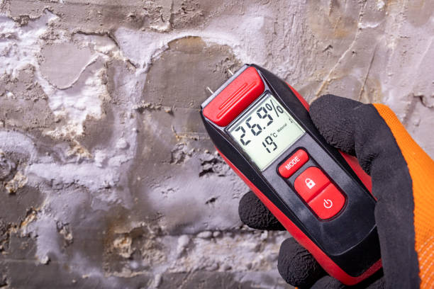 Best DIY Mold Remediation Support Services in Hewitt, NJ