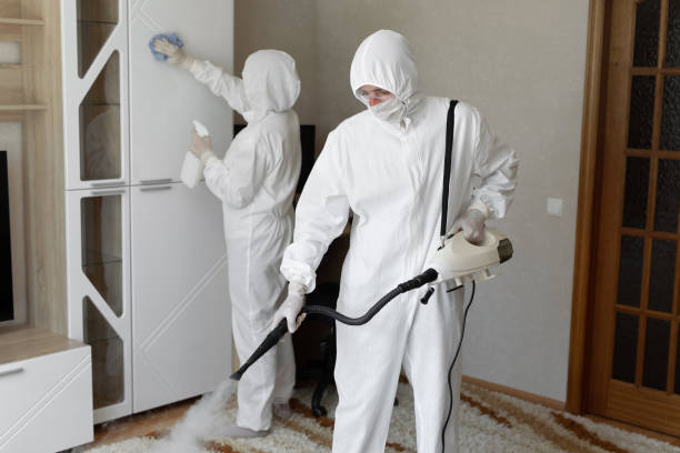Best Crawl Space Mold Remediation in Hewitt, NJ